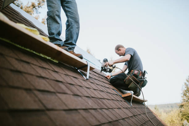 Roof Repair Estimates in Springfield, NE